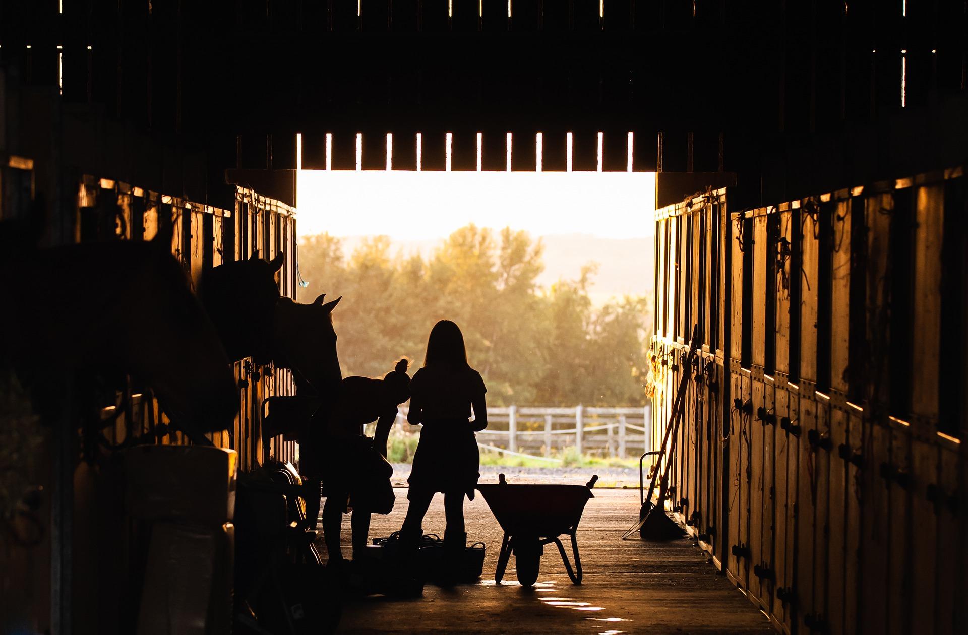 Passeggiate a cavallo